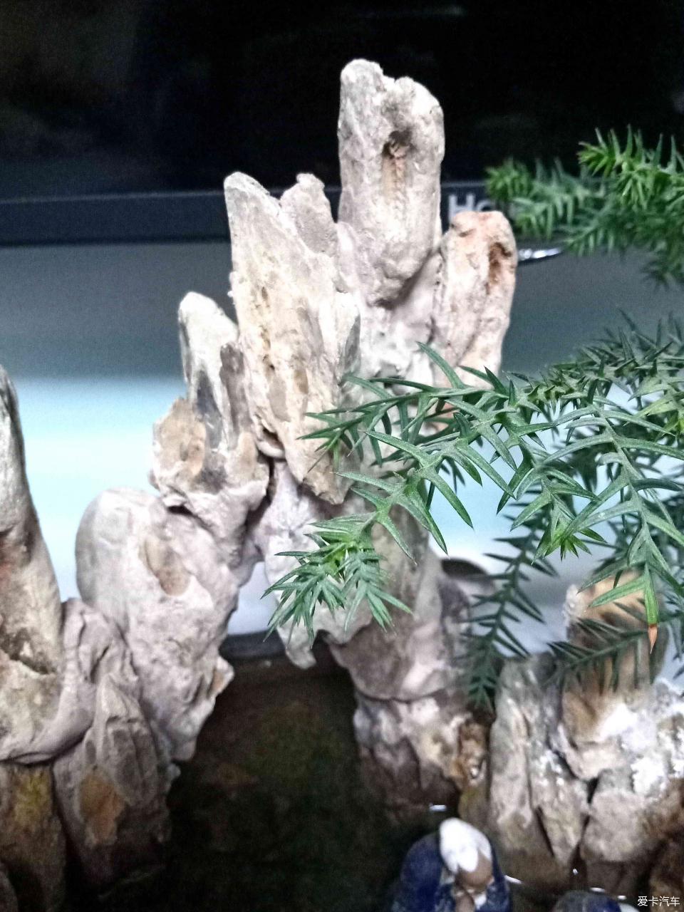 小山水盆景里的大千世界