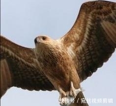 澳大利亚山火什么时候结束