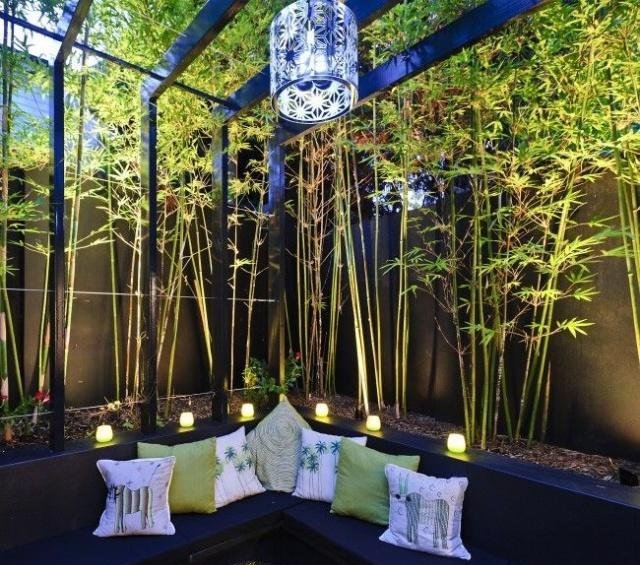 庭院竹子50张图告诉你，花园里种竹子有多高大上，气质瞬间提升