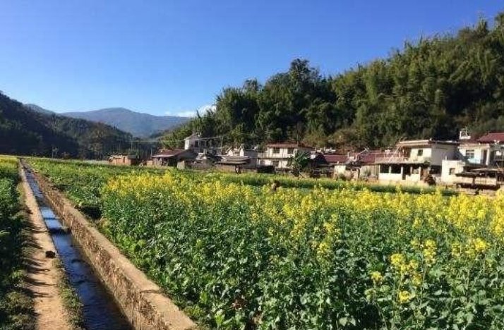  乡村|乡村振兴，让农村闲置用房重焕新生，农业农村部这样说