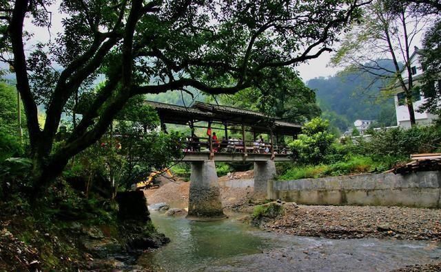 中国最适合养老的地方，环境非常原生态，一天只需80元还包食宿