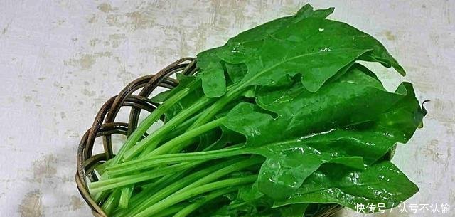 『蔬菜』阳台种蔬菜,秋天就选这4种,新叶蹭蹭长,秋冬能吃好几茬!
