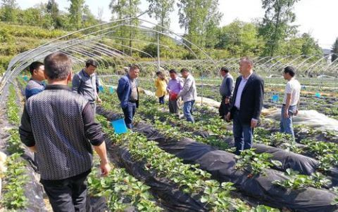  条件@这六种补贴应该直接发到农民手中,符合条件的请注意查收！