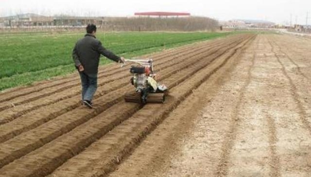 中国“新农具”一出，喷雾器没戏了！节省人力收工早，才2碗面钱