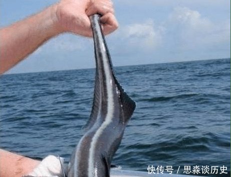 『男子』男子钓到一条怪鱼, 刚准备扔掉, 鱼的反应让他立即报警