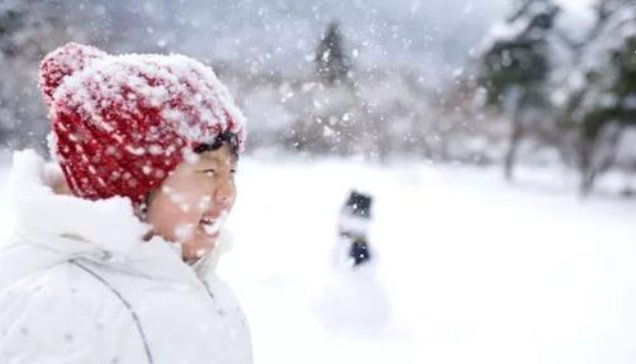  【回复】下雪吃什么最应景？网友的回复真的很应景，看饿了
