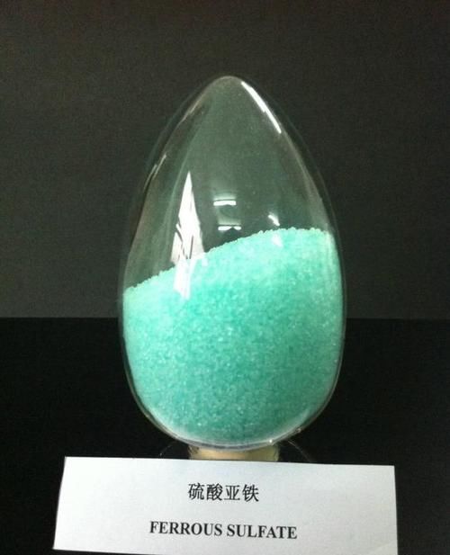 微量元素■茉莉栀子花，黄叶的“七大”原因，缺一种东西，黄叶难逃