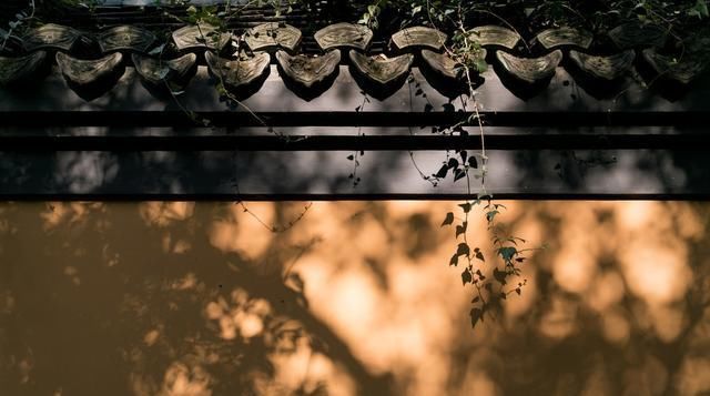  #凡事#人性之善恶，伪命题也自有宿命：凡事走中庸之道。