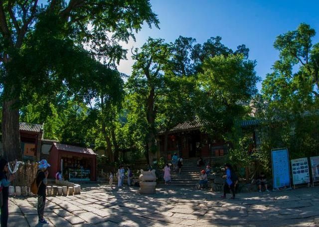 我国的“高学历”寺庙，方丈会10国语言，本科学历都很少见