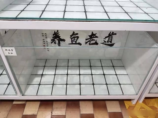  鱼缸@鱼缸里接二连三死鱼，不是让你继续养下去，是时候按下暂停健了