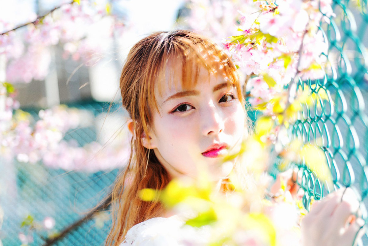 世界最厉害十棵树:四棵在华夏,价值无法估量,1棵是李世民栽种