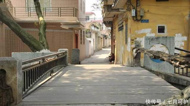 国内一棵奇特的古树,有300多岁,存活在闹市中,还成了一座桥!