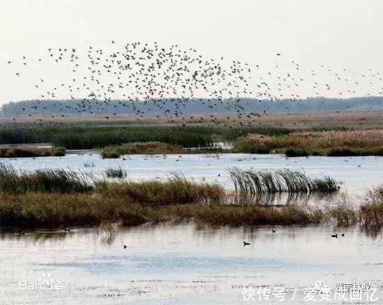 国家湿地公园长沙