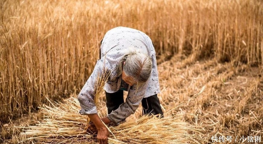  土地确权：农民当心: 这6种宅基地以后将不属于自己, 无法从父辈
