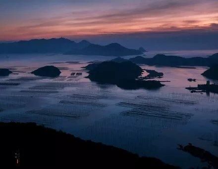 霞浦海域惊现中华白海豚，央视新闻联播都报导了