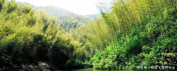 安徽旅游探秘九子岩 塔川秋色 木坑竹海 秋游新安江山水画廊3日自