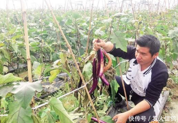  [村子]中国这个村子农民宁愿耕田，也不出去打工，究竟是为何？