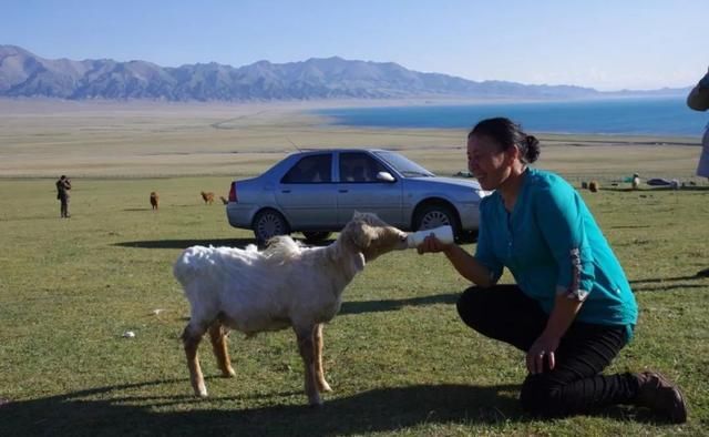 9年陪伴，2次进藏，小爱征服川藏线