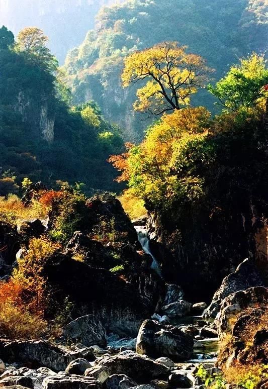 这里的秋色，犹如被上帝打翻了调色盒，五彩斑斓，太美了