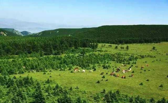  宁武天池：中国神奇小城，藏有5大千古之谜，令无数驴友叹为观止！