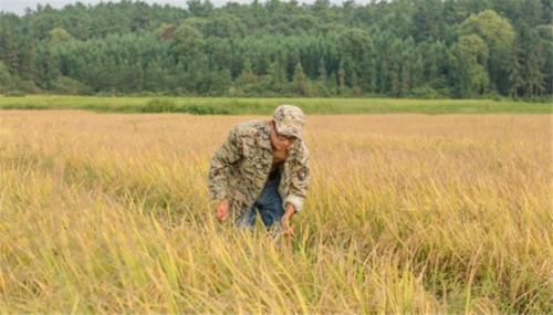  【取消】取消农业户口后，农民还是“农民”吗？对农民到底有没