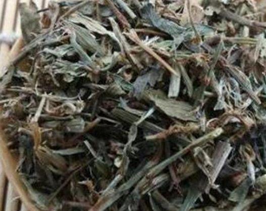 农村人''恨之入骨''的一种野草，竟然秒杀板蓝根，你认识吗？