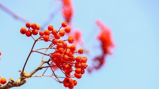 诗歌：与你擦肩而过