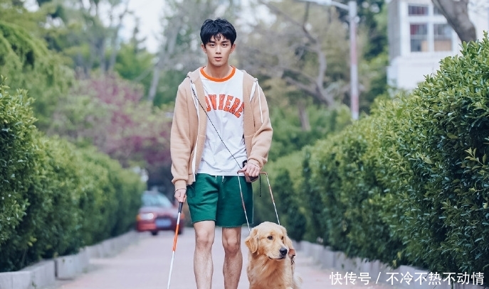 电影宠爱的票房现在是多少