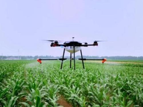  春天■未来3-5年，农村这几个行业或将迎来“春天”，回乡发展也是个不错的选择