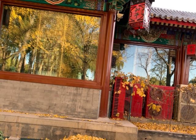 北京门票2角的景区，还只要现金，但却是个日本园林