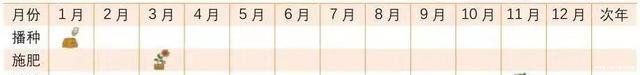  试试■都说种韭菜可以多次采摘，我准备好泡沫箱，试试种在阳台上