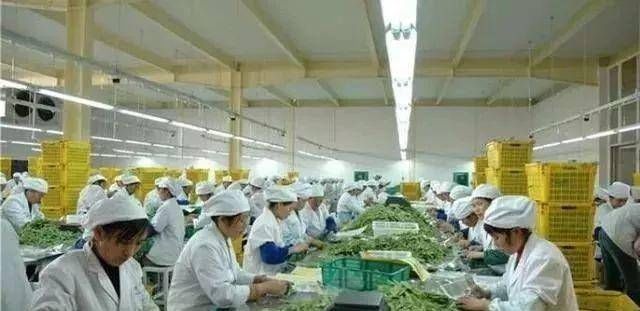  办厂@想回农村创业，推荐几个适合农村的小投资办厂项目