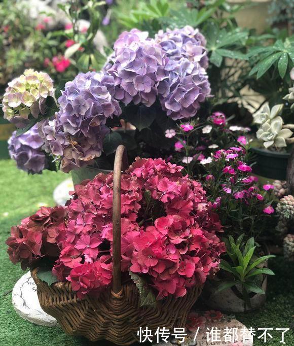 高度@阳台别瞎养花,这样巧搭配,美出新高度,美色不浪费