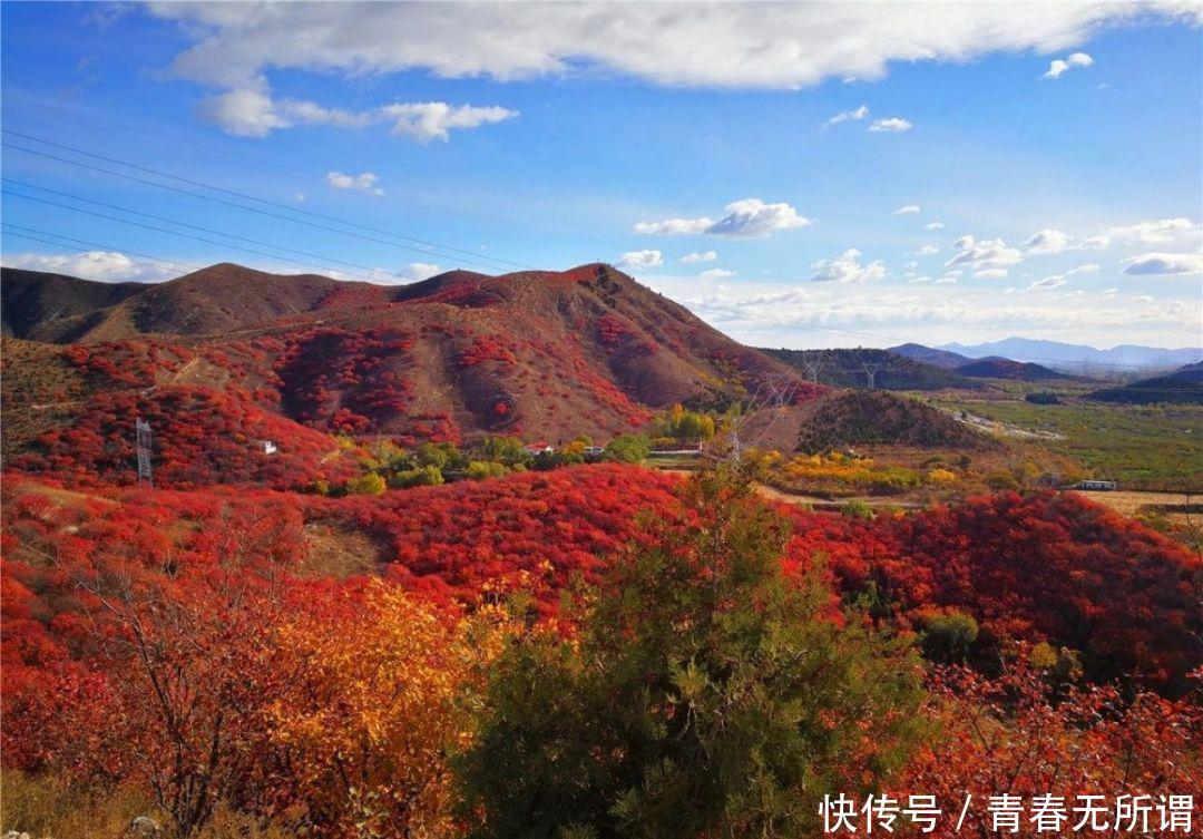 山间遍布数万亩彩叶林 周末来北京最长国家级登山步道体验一下