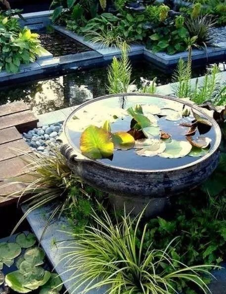 『花钱』不花钱在阳台、露台上打造一个迷你池塘,好看到爆!