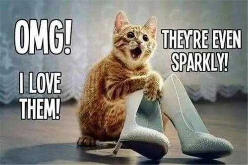 女孩晕倒罪魁祸首竟是高跟鞋？到底咋回事？《养生总动员》带你一