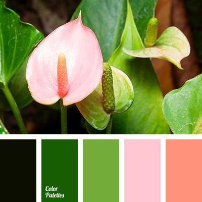 初秋这些颜色穿在一起，显白又高级!