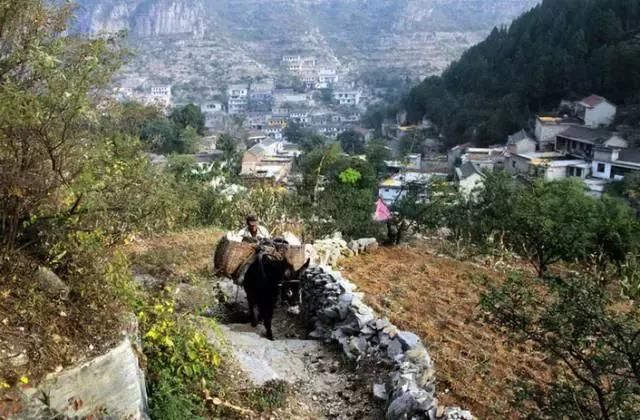 为什么要在老家留套房 ？看完你就懂了