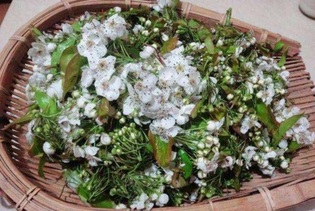  「没想到」没想到这种花不仅有观赏价值，而且还可以食用，芳香可口