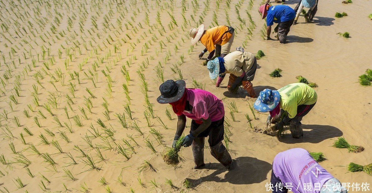 中国最勤劳的省份浙江”没有之一没理由反驳