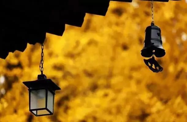 《延禧攻略》竟把陕西的陕西灵秀美景藏了进去！