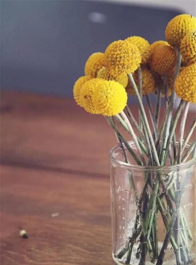  『手工』DIY手工制作：用干花做的花艺作品，比鲜花还美！