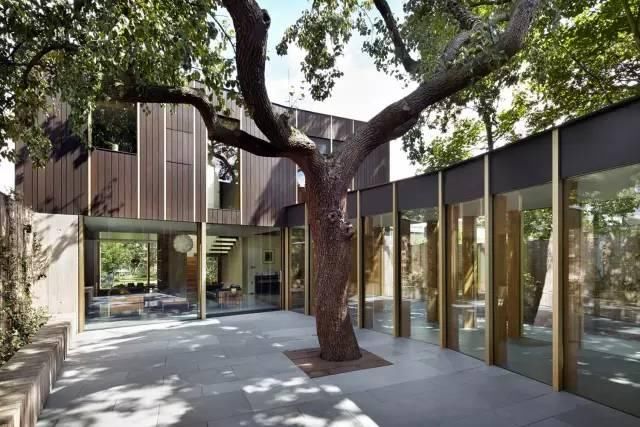 我的屋前有颗树！庭院景观设计 庭院树木 因树建房 依山建房