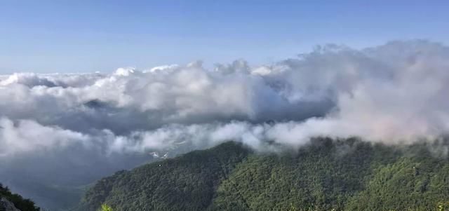 这群不回家的牛，在300平方公里的绝美仙境诗意栖居