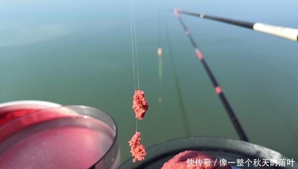 夏季|夏季手竿钓翘嘴,钓组搭配和垂钓要点,飞铅钓是不二选择!