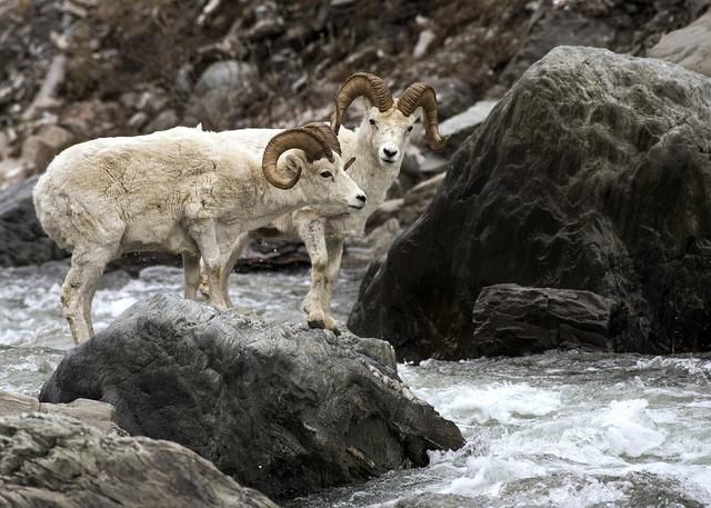 被誉为上帝遗落的画卷,无数绝世美景,却藏着能毁灭人类的力量!