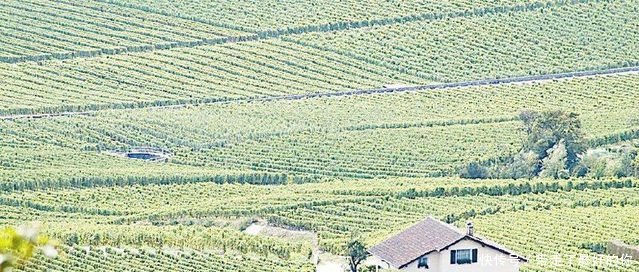  #明年#明年农村户口“取消”后，全国6亿多的农民，最后能真正得到什么