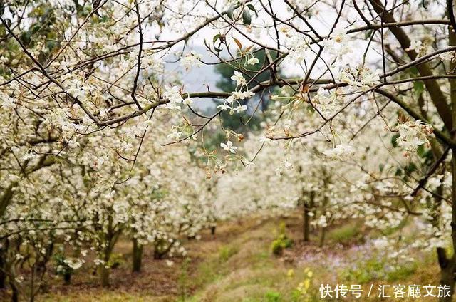 桂林的春天，已经把摄影师逼疯了，但大多数人去错了地方！