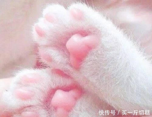  [颜值]粉色系，是不是你梦中的神仙颜值婚礼