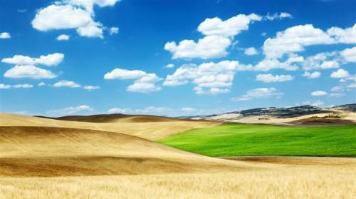  老农@农村刚出了新四害,如今又来了四大怪,老农对此很不理解.